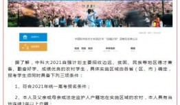 兴国学生爆料视频大全,校园生活瞬间回顾