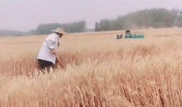 见义勇为被哥们爆料视频,哥们爆料见义勇为视频引网友热议